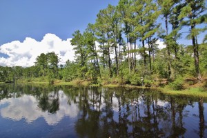 Lacombe Harbor Waterfront Property For Sale